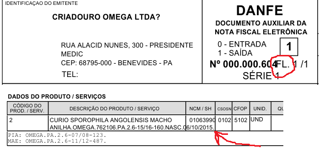 Danfe.png.5c933760ff76e7345c00a7b31e8e76