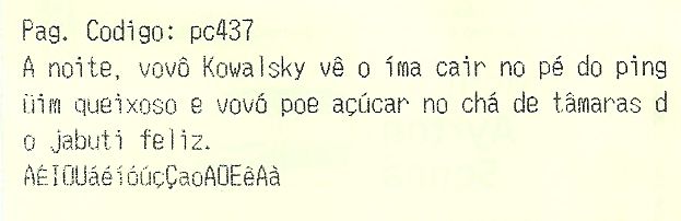 pag_codigo-pc437.jpg