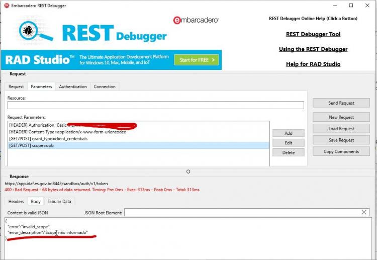 Embarcadero REST Debugger.jpg
