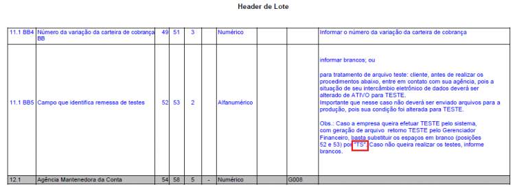 remessa_manual_campo_11.png