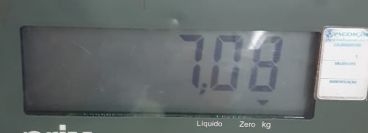 Sem título.png