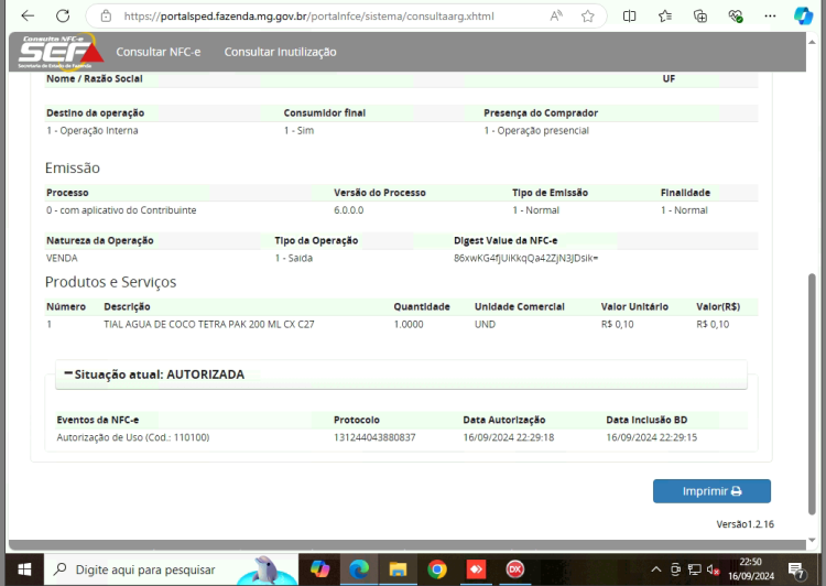 Consulta-Portal-Continuacao.png