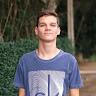 lourenco_brachini_2016