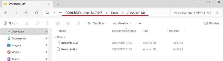 Captura de tela 2025-03-21 095527.jpg