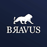 Suporte Bravus Sistemas